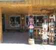 Unique life-size carvings on display in front of shop on Route 66 in Williams