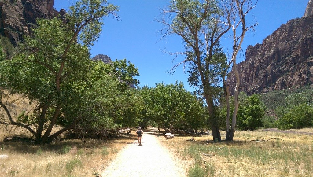 Walking path in the Virgin River Valley of Zion National Park
