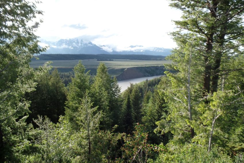 View of the Snake River and Grand Tetons from north of Jackson Wyoming