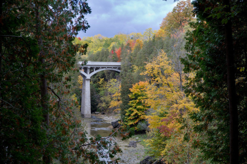 Fall colours in the Elora Gorge Conservation Area | Credit: Artur Staszewski CC BY-SA 2.0 Flickr